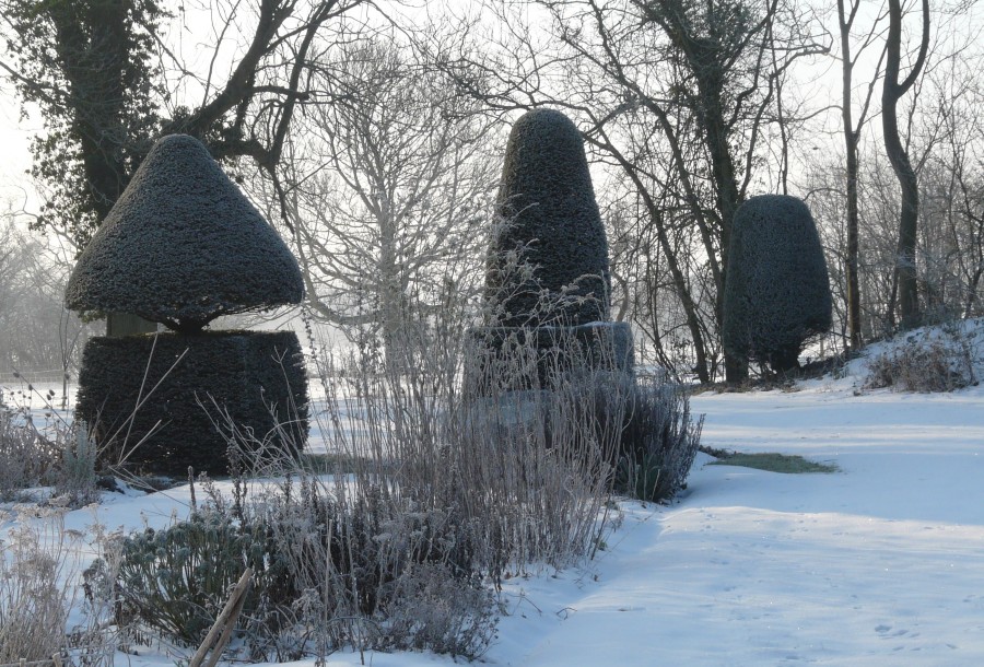 snowy