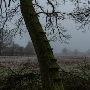 Dec 2020 6