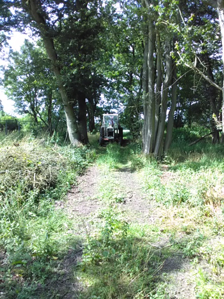 Tractor